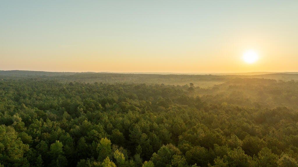 71.3 acres in Texas County - photo 12