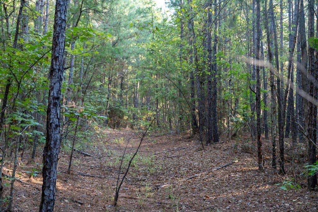 71.3 acres in Texas County - photo 72