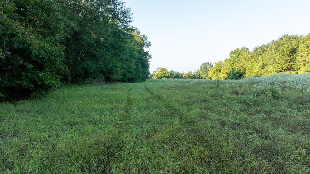 71.3 acres in Texas County - photo 34