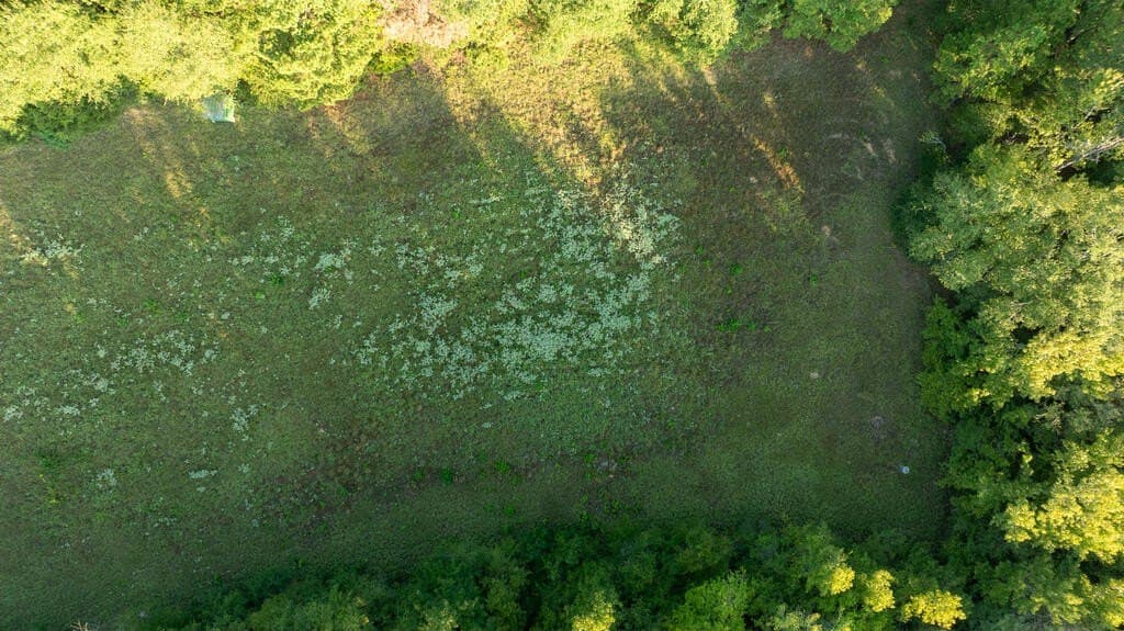 71.3 acres in Texas County - photo 41