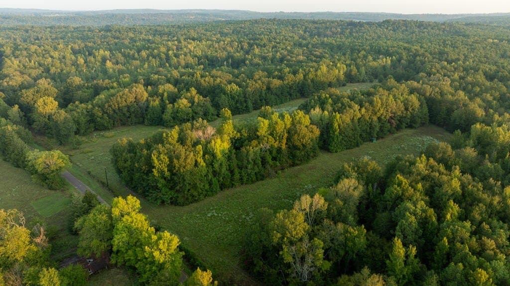 71.3 acres in Texas County - photo 14