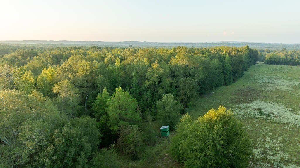 71.3 acres in Texas County - photo 18