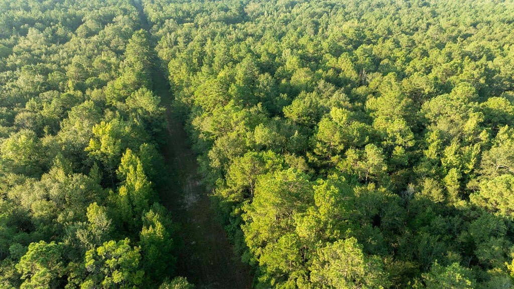 71.3 acres in Texas County - photo 28