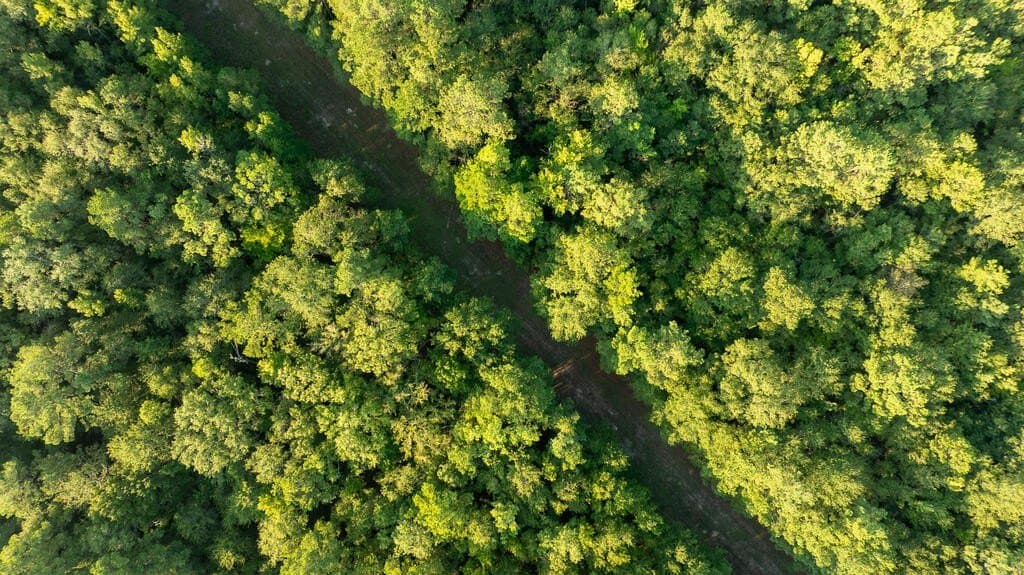 71.3 acres in Texas County - photo 27