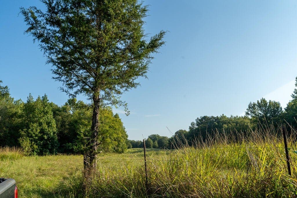 71.3 acres in Texas County - photo 8
