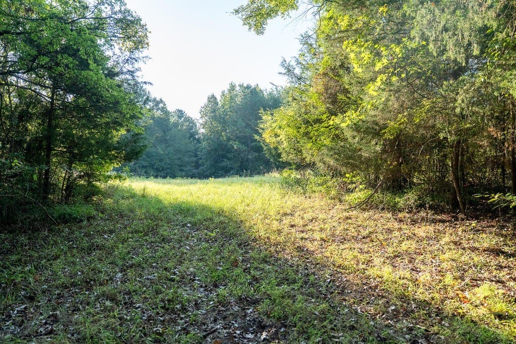 71.3 acres in Texas County - photo 45