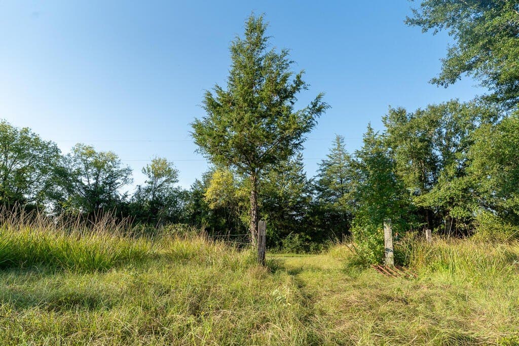 71.3 acres in Texas County - photo 5