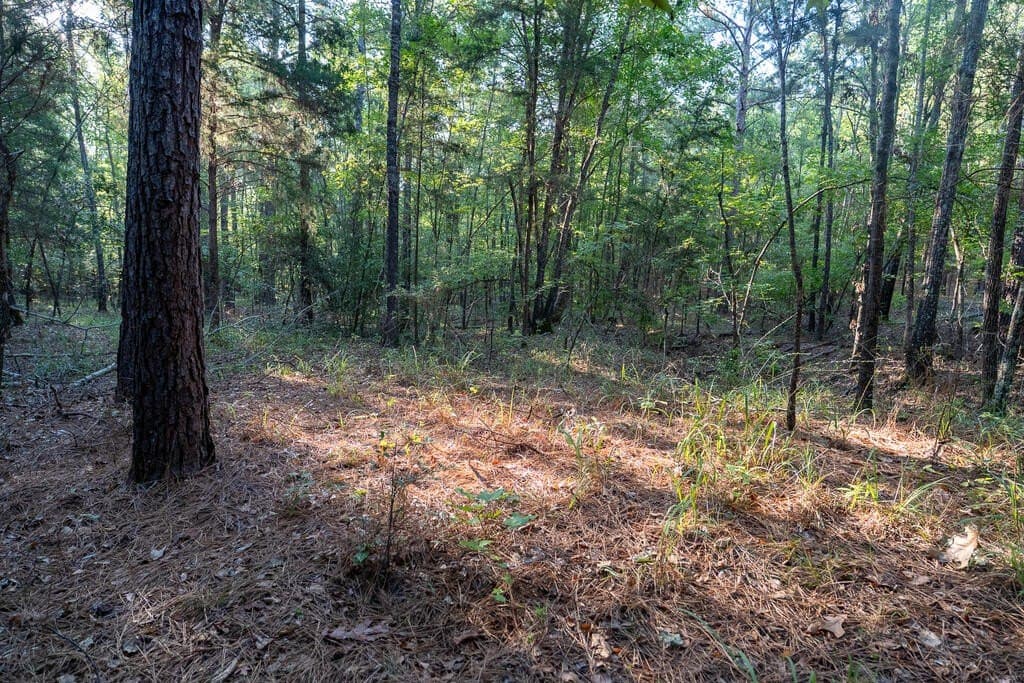 71.3 acres in Texas County - photo 62