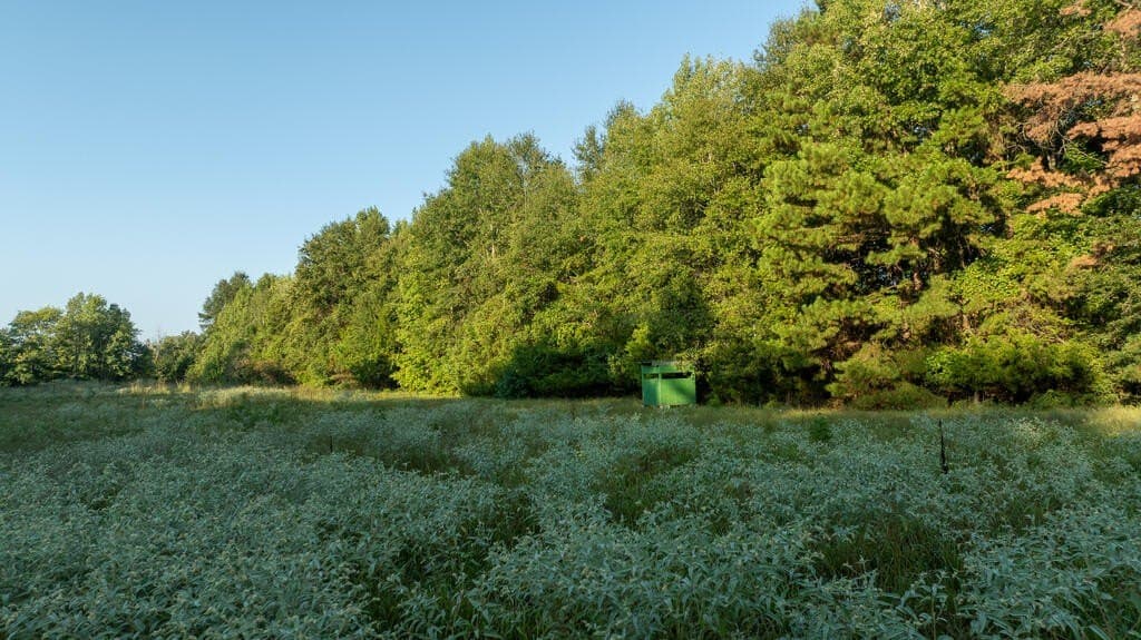 71.3 acres in Texas County - photo 40