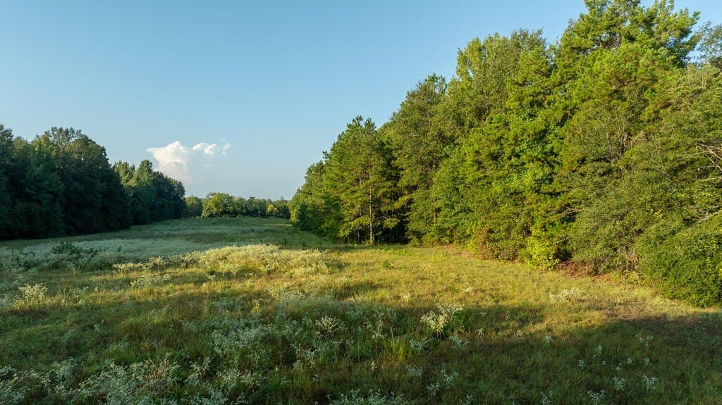 71.3 acres in Texas County - photo 22
