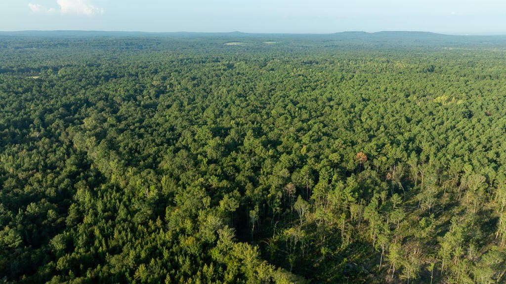 71.3 acres in Texas County - photo 26