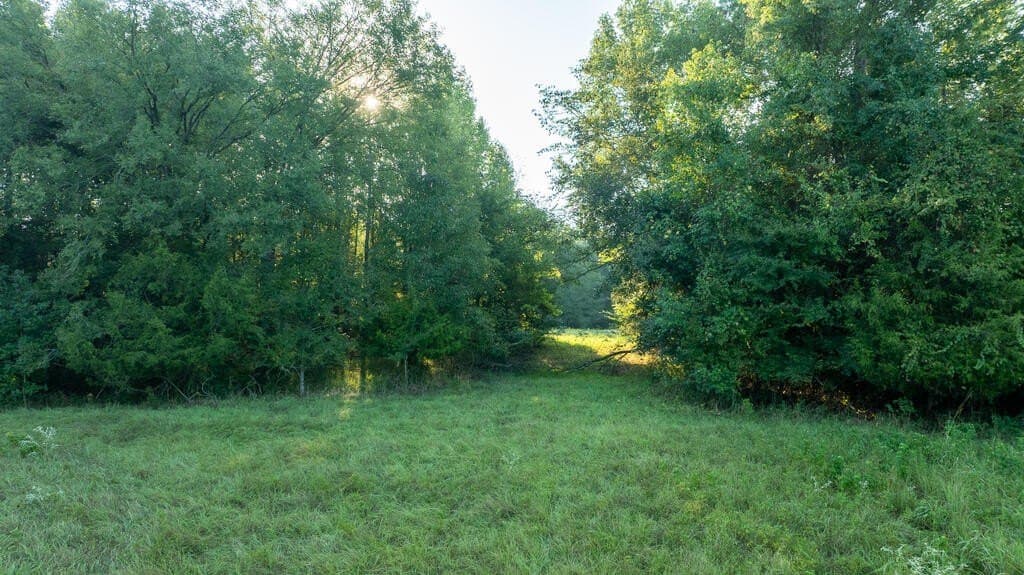 71.3 acres in Texas County - photo 37