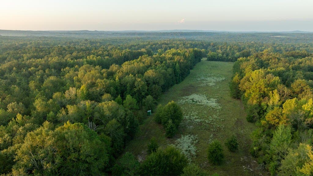 71.3 acres in Texas County - photo 11