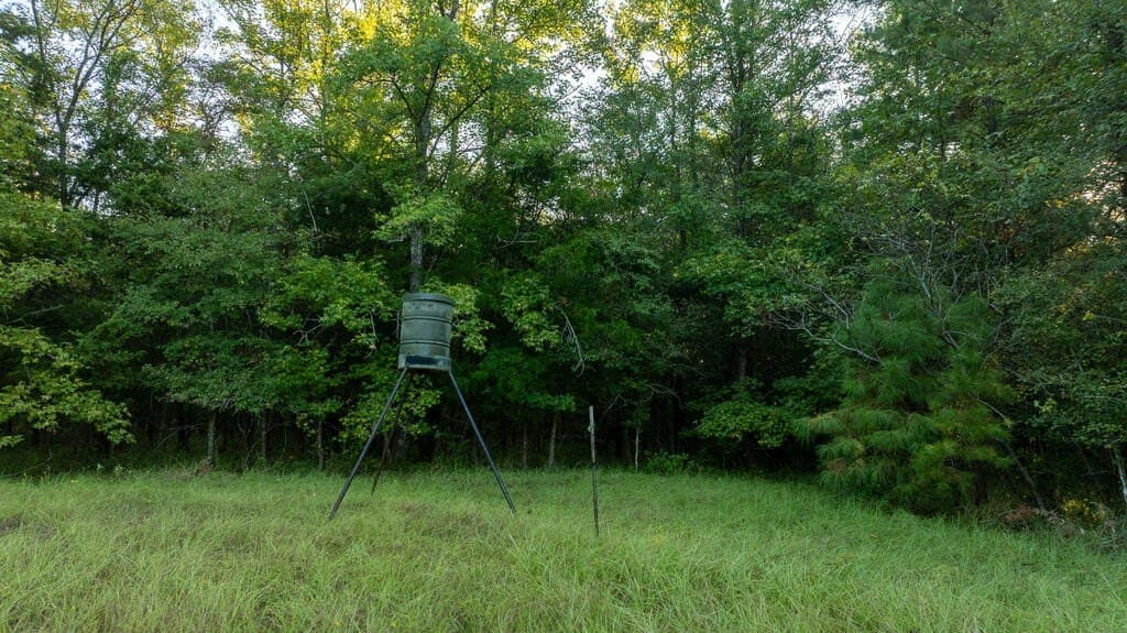 71.3 acres in Texas County - photo 38