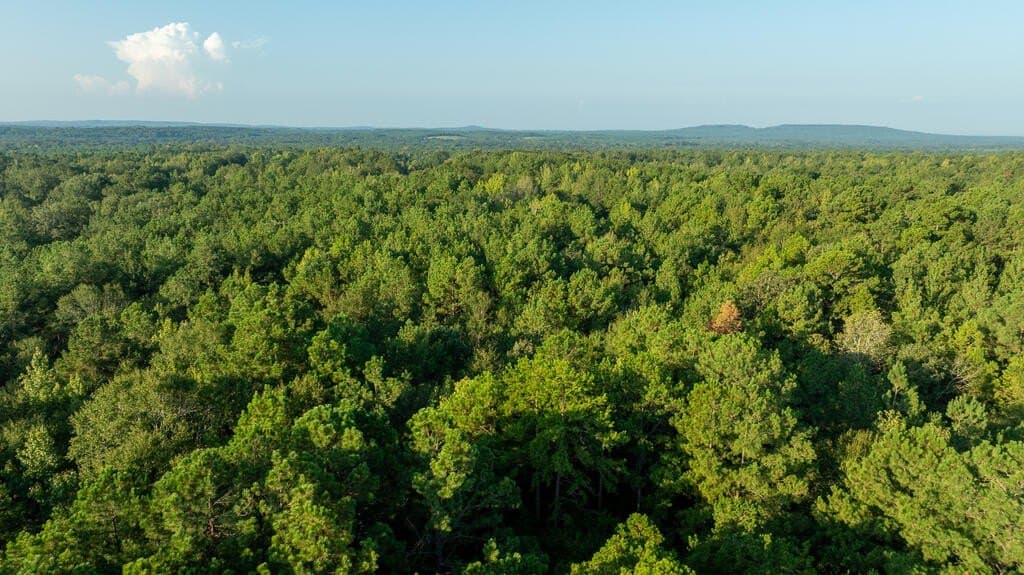 71.3 acres in Texas County - photo 29