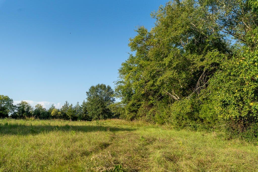 71.3 acres in Texas County - photo 3