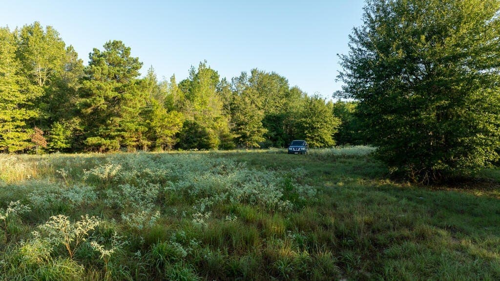 71.3 acres in Texas County - photo 35