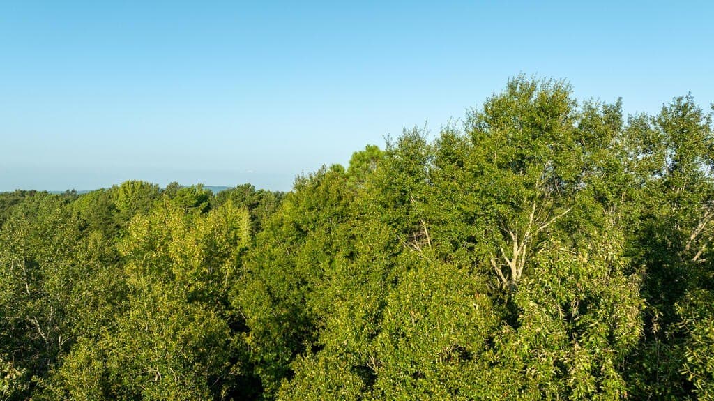 71.3 acres in Texas County - photo 31