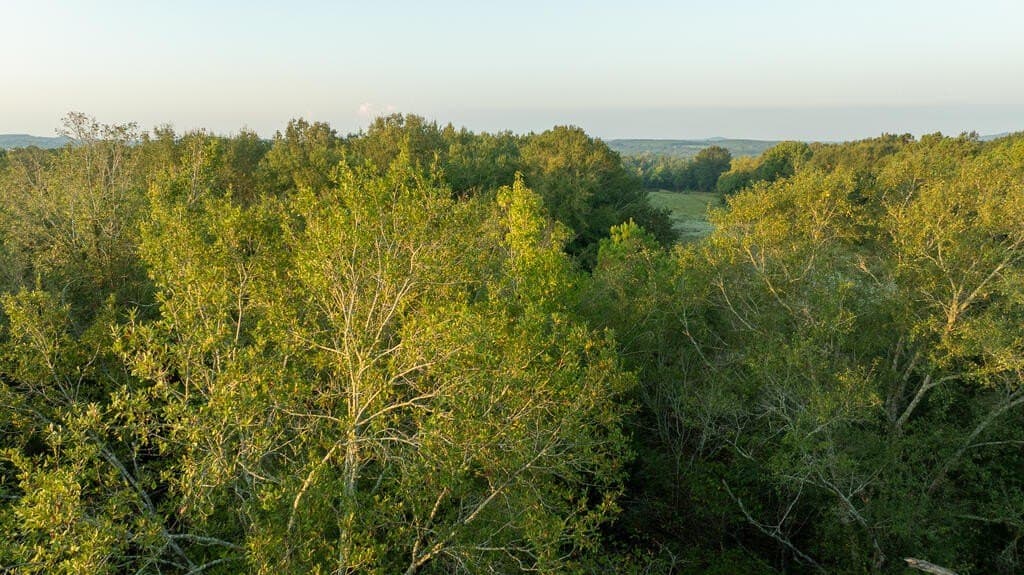 71.3 acres in Texas County - photo 19