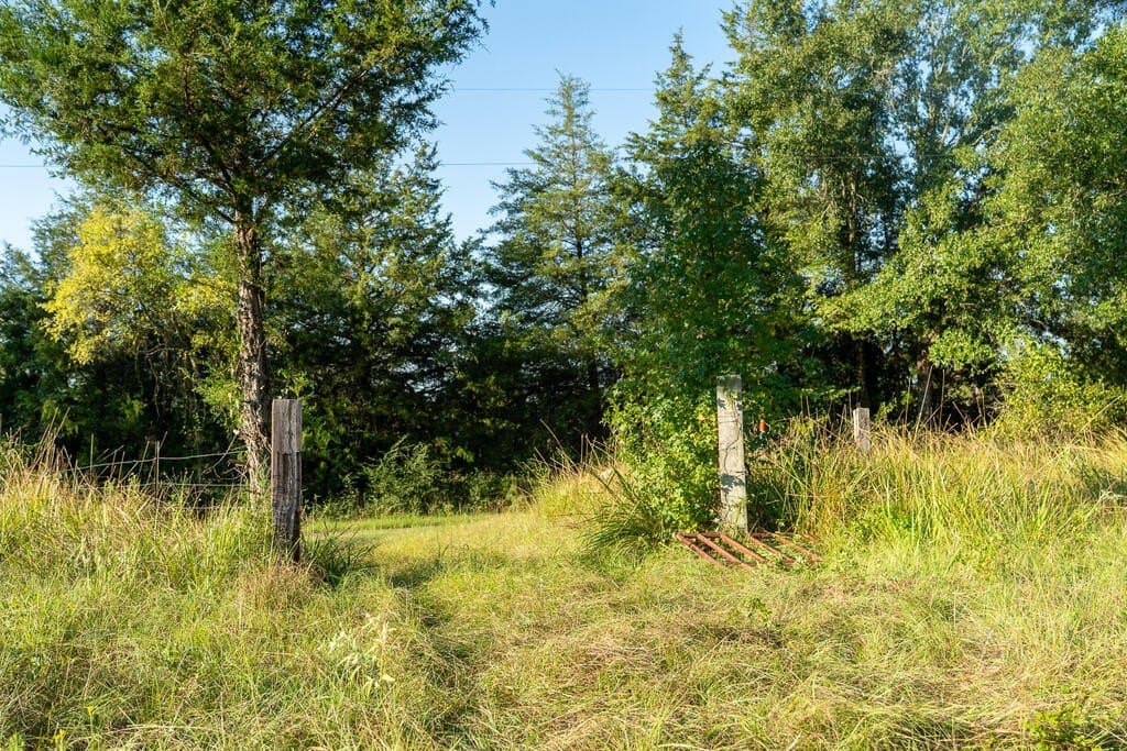 71.3 acres in Texas County - photo 4
