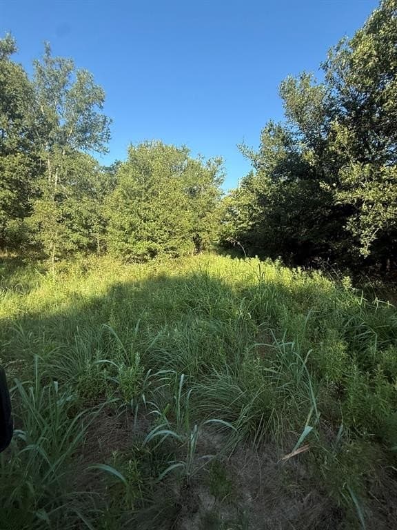 23.56 acres in Montague County gallery image 3