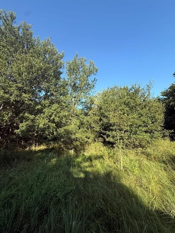 23.56 acres in Montague County gallery image 2