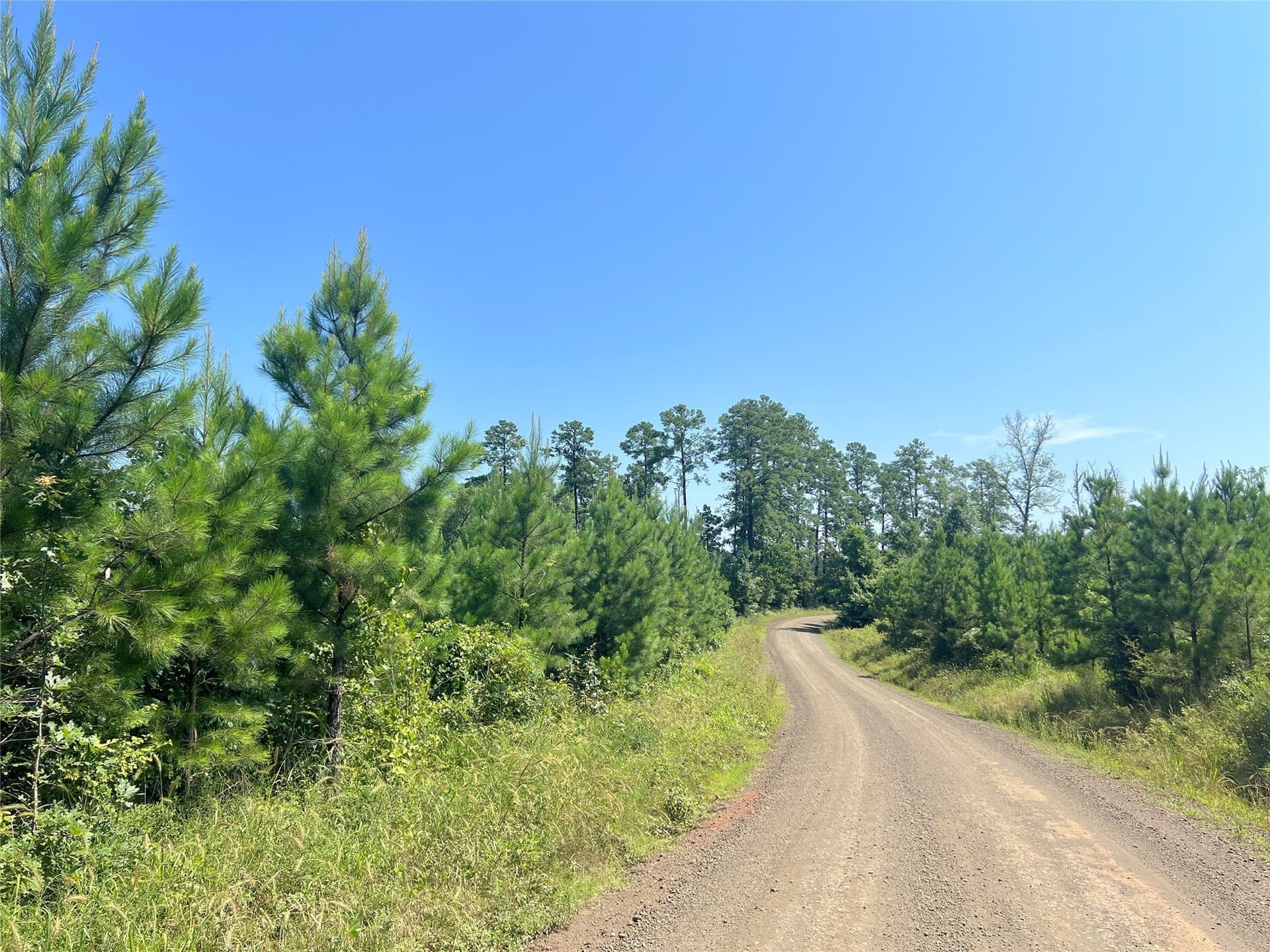29 acres in Sabine (TX) County - photo 4