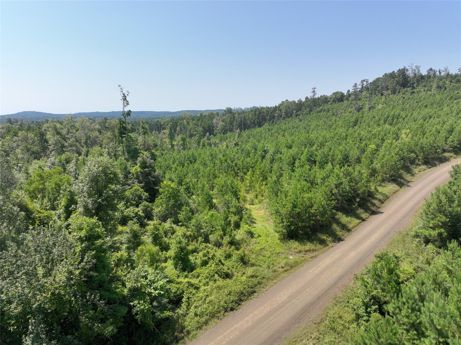 29 acres in Sabine (TX) County - photo 2