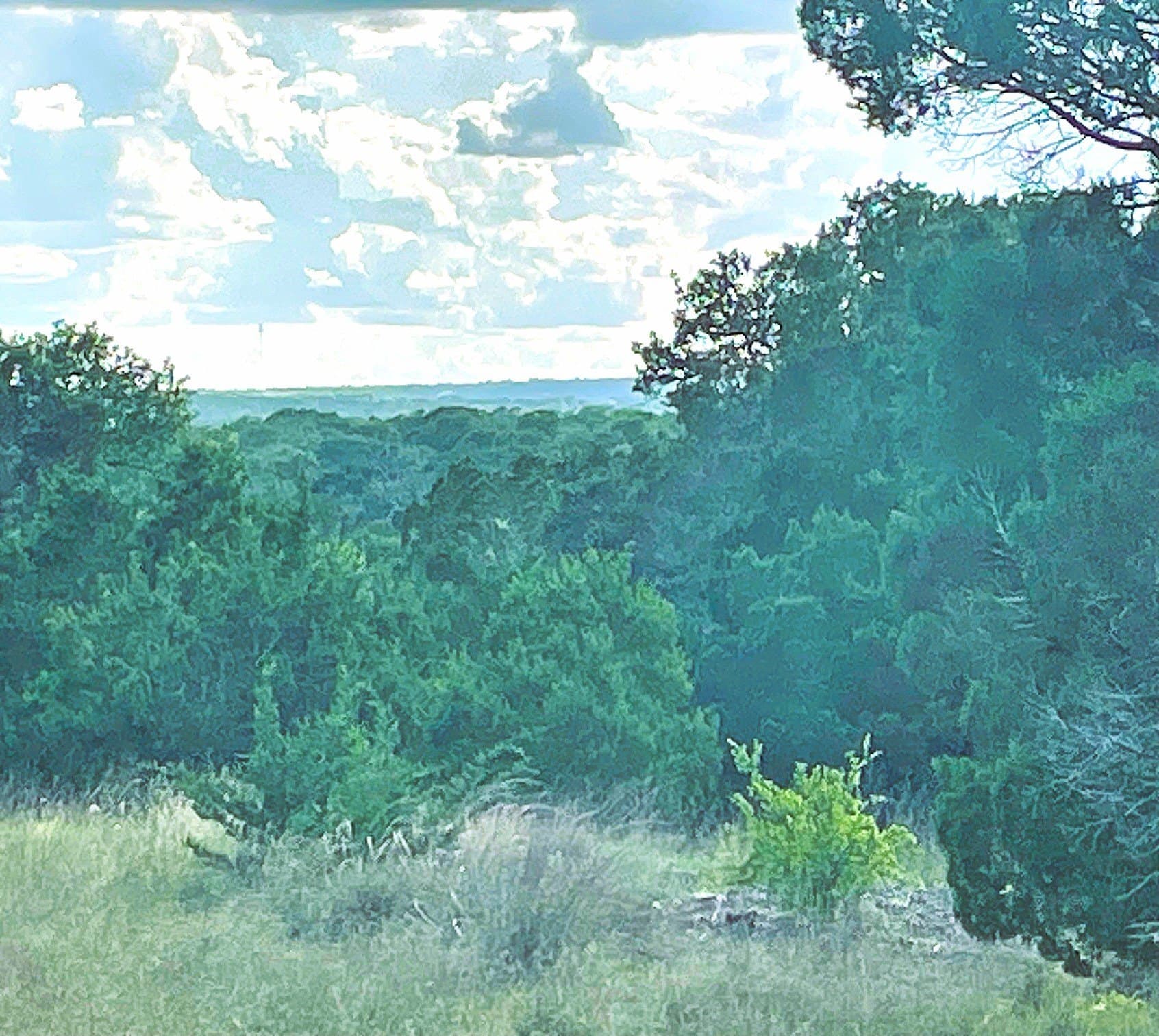 10.05 acres in Coryell County - photo 3