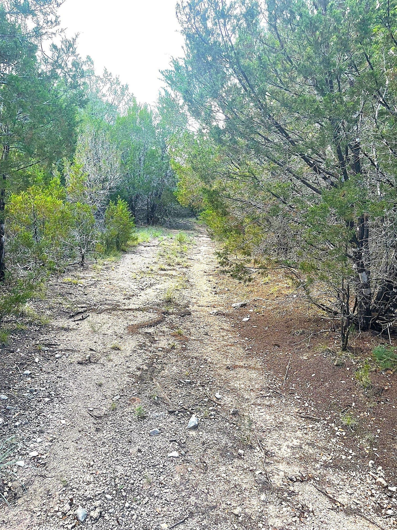 10.05 acres in Coryell County - photo 11