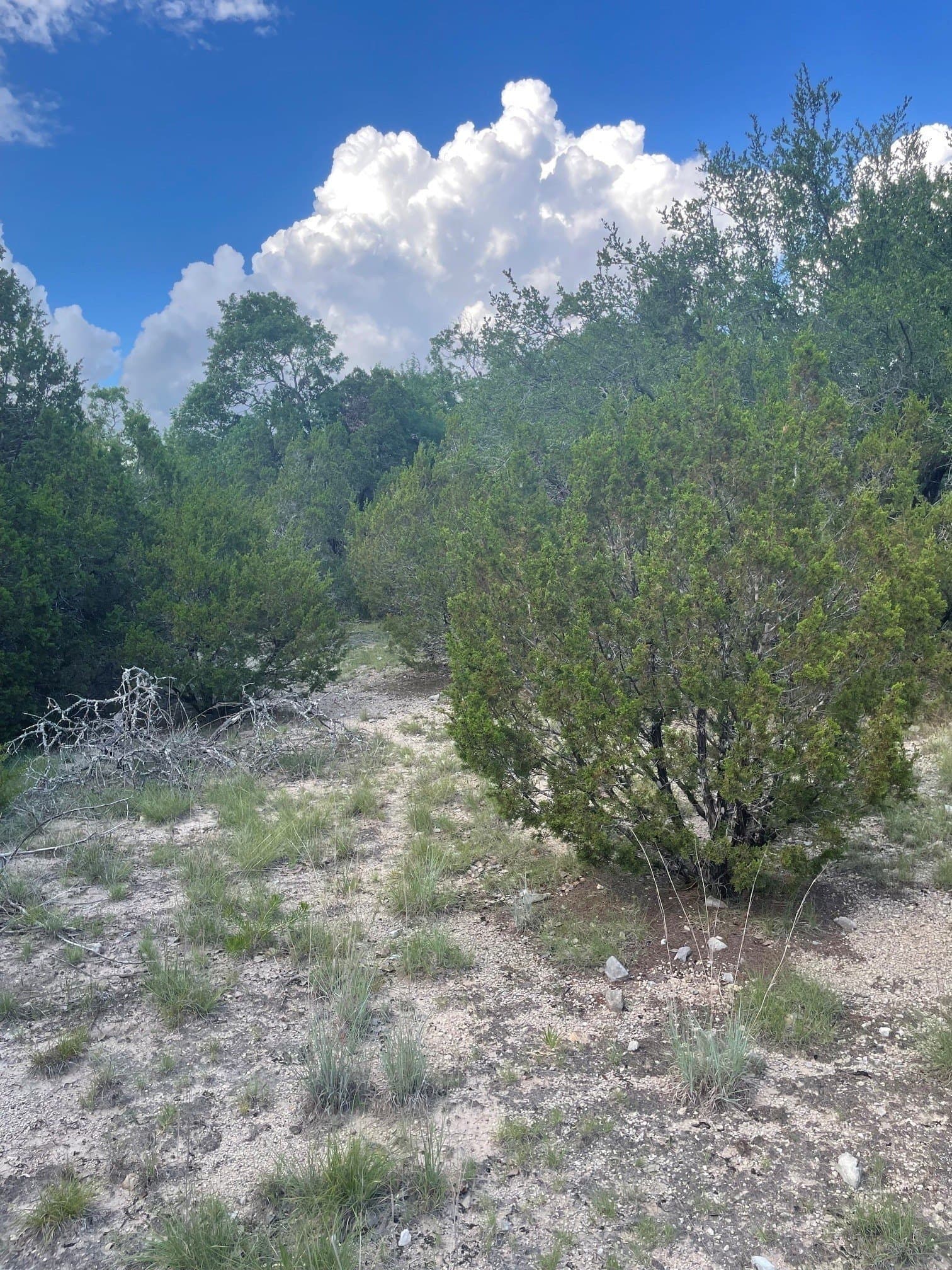 10.05 acres in Coryell County - photo 6