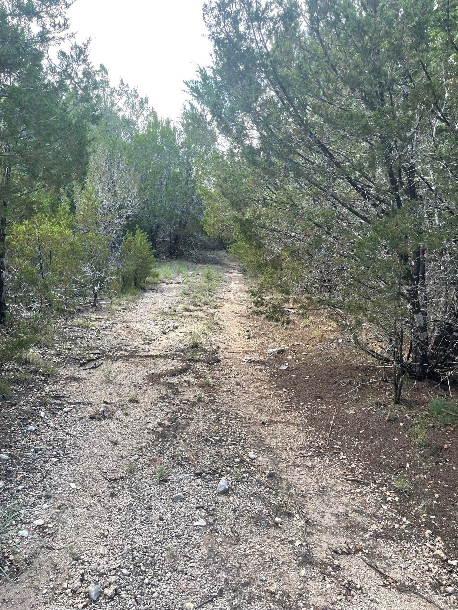 10.05 acres in Coryell County - photo 5