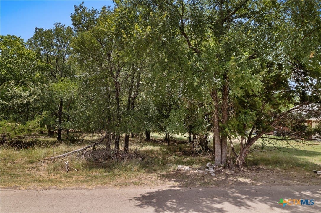 0.15 acres in Bell County - photo 2