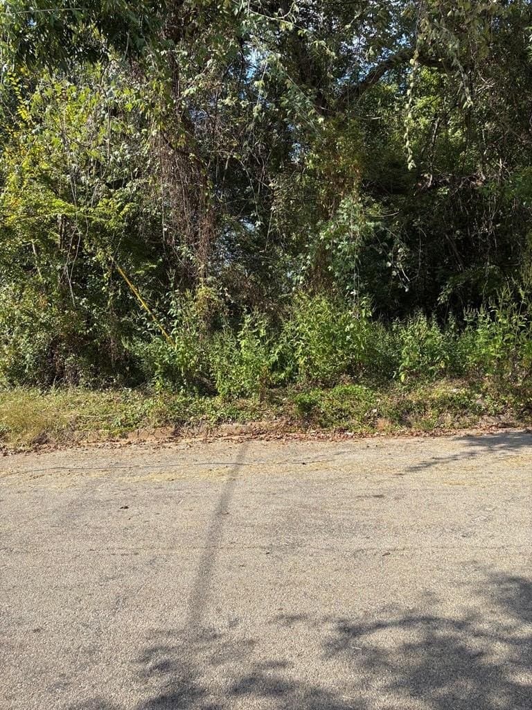 0.17 acres in ANDERSON County gallery image 2