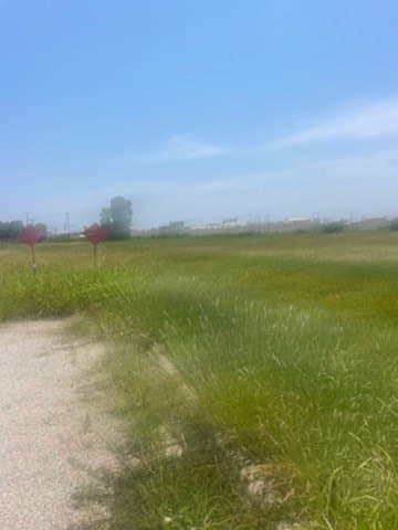 26.31 acres in Brown County - photo 13