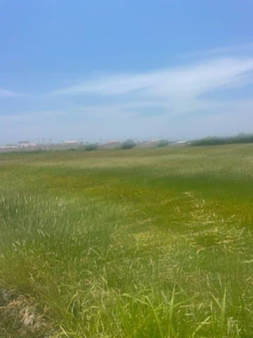 26.31 acres in Brown County - photo 12