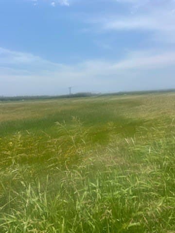 26.31 acres in Brown County - photo 14