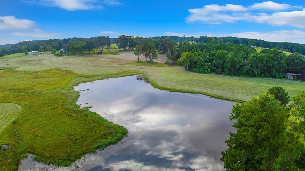 113.82 acres in Texas County gallery image 2