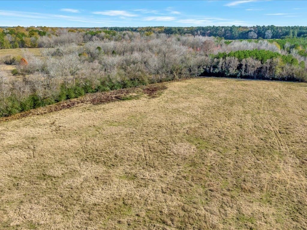 113.82 acres in Texas County - photo 11