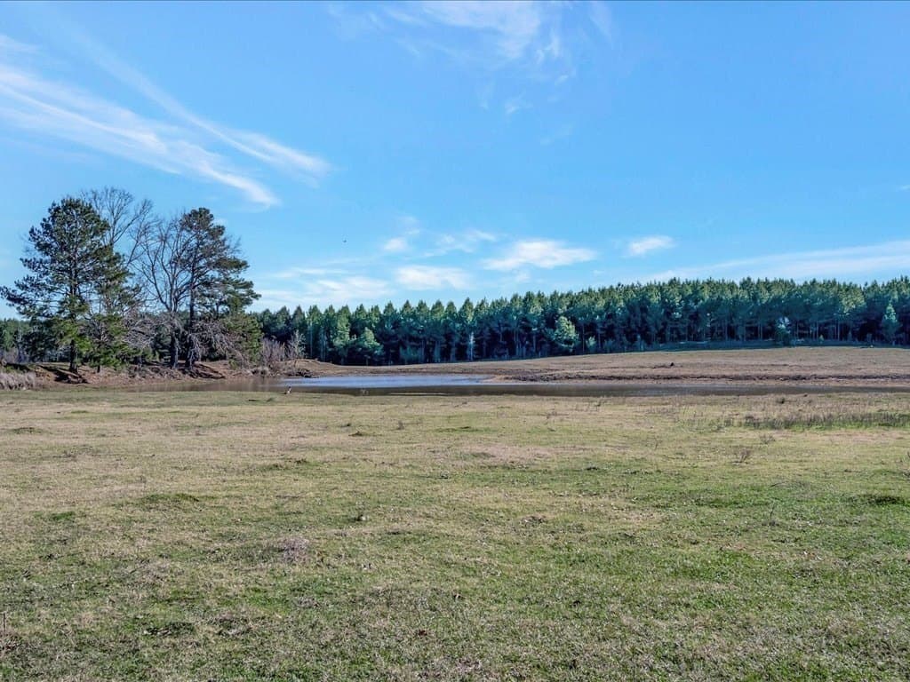113.82 acres in Texas County - photo 10
