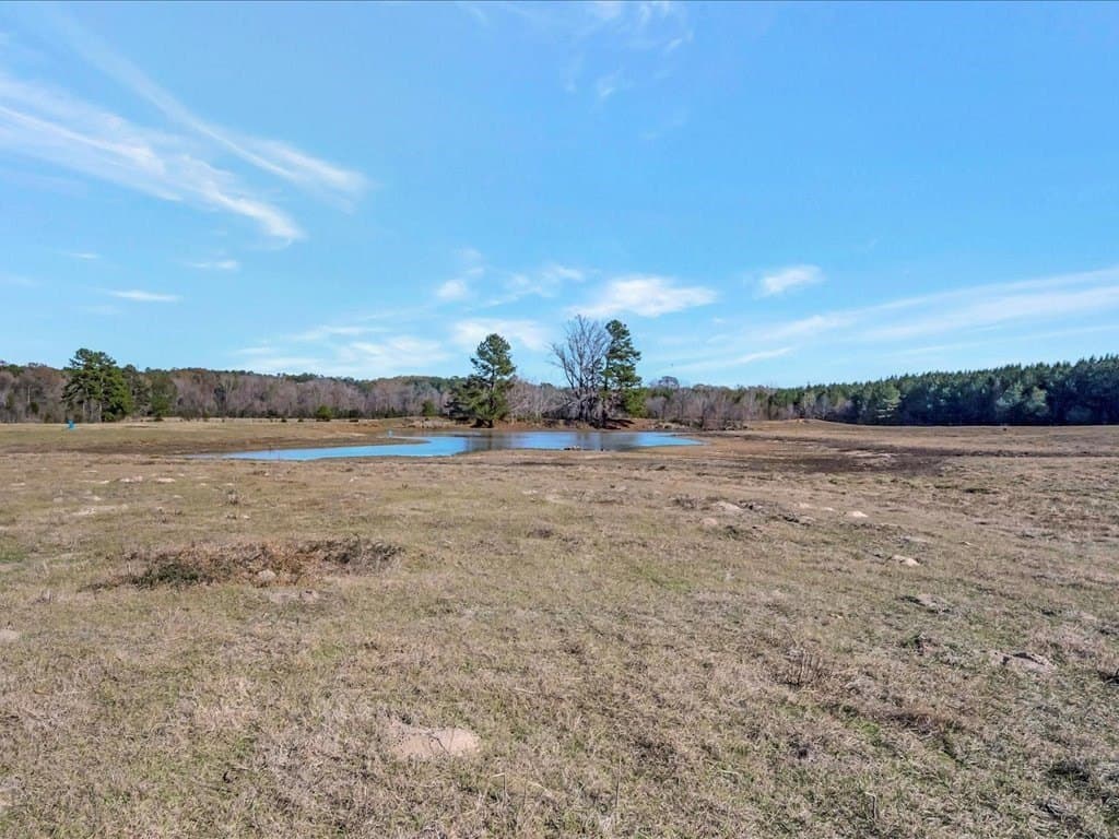 113.82 acres in Texas County - photo 21