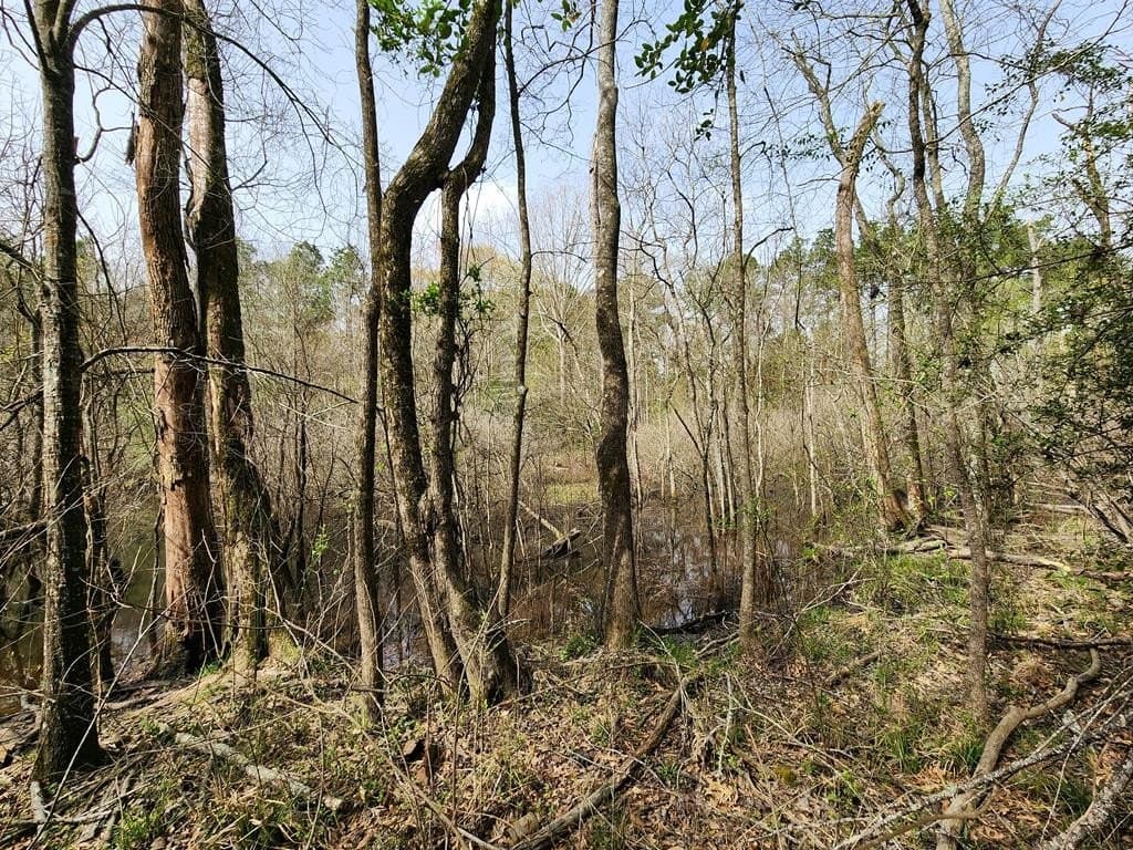 2.08 acres in Texas County - photo 13