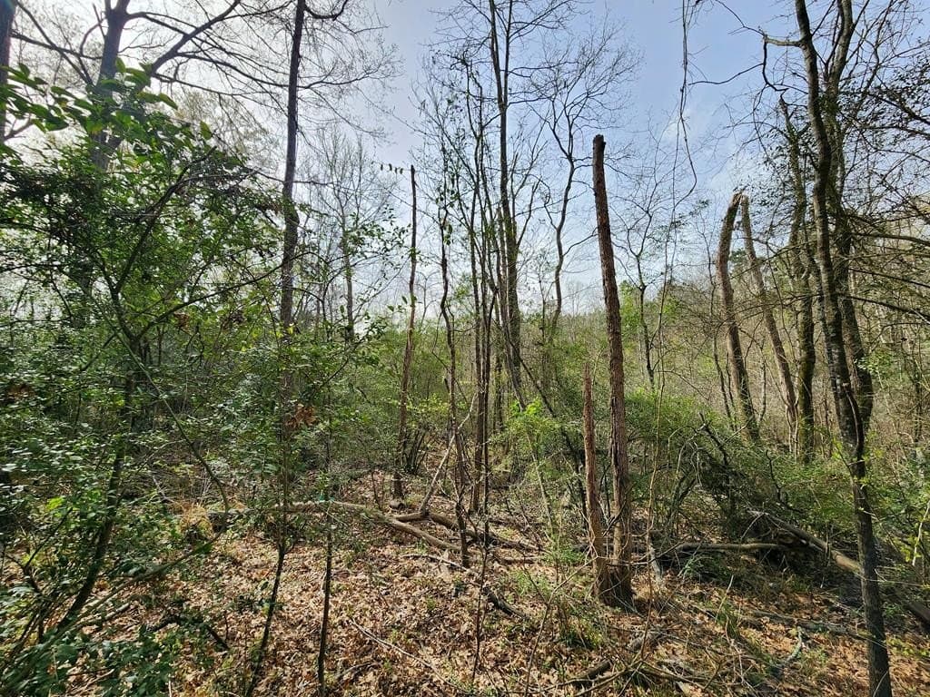 2.08 acres in Texas County - photo 9