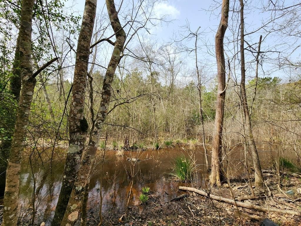 2.08 acres in Texas County - photo 15