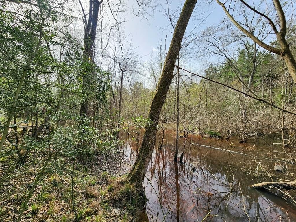 2.08 acres in Texas County - photo 14