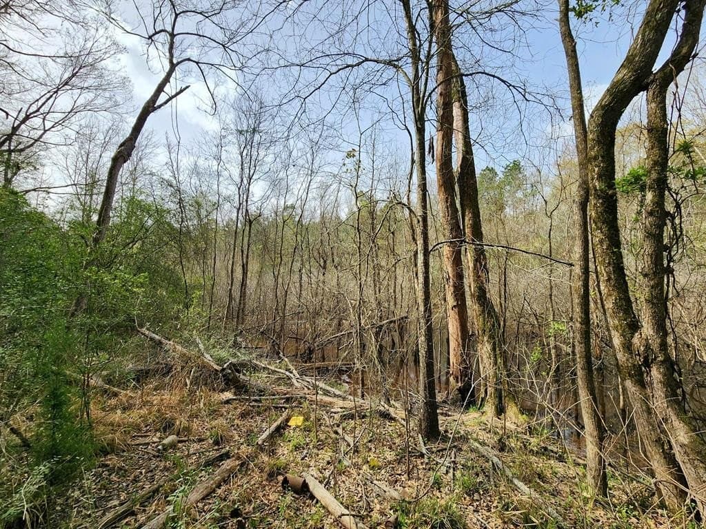 2.08 acres in Texas County - photo 7