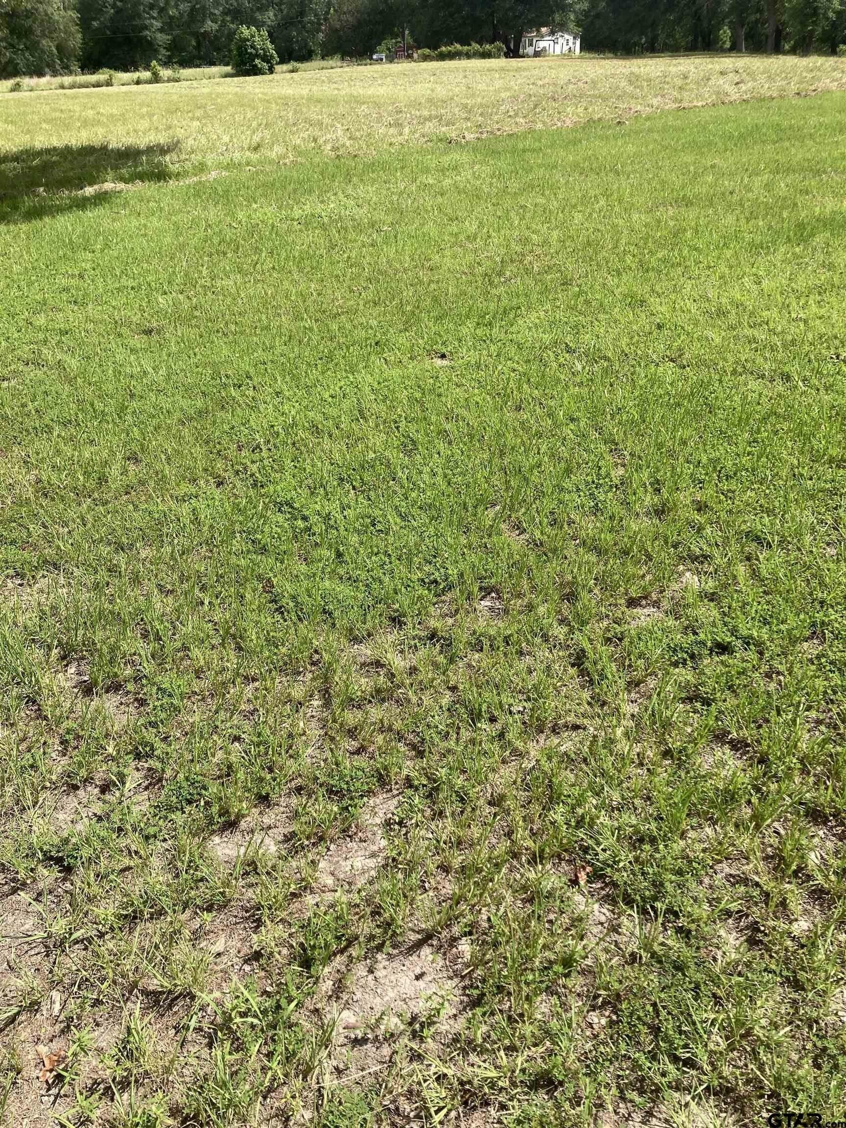 1 acres in Smith County gallery image 3