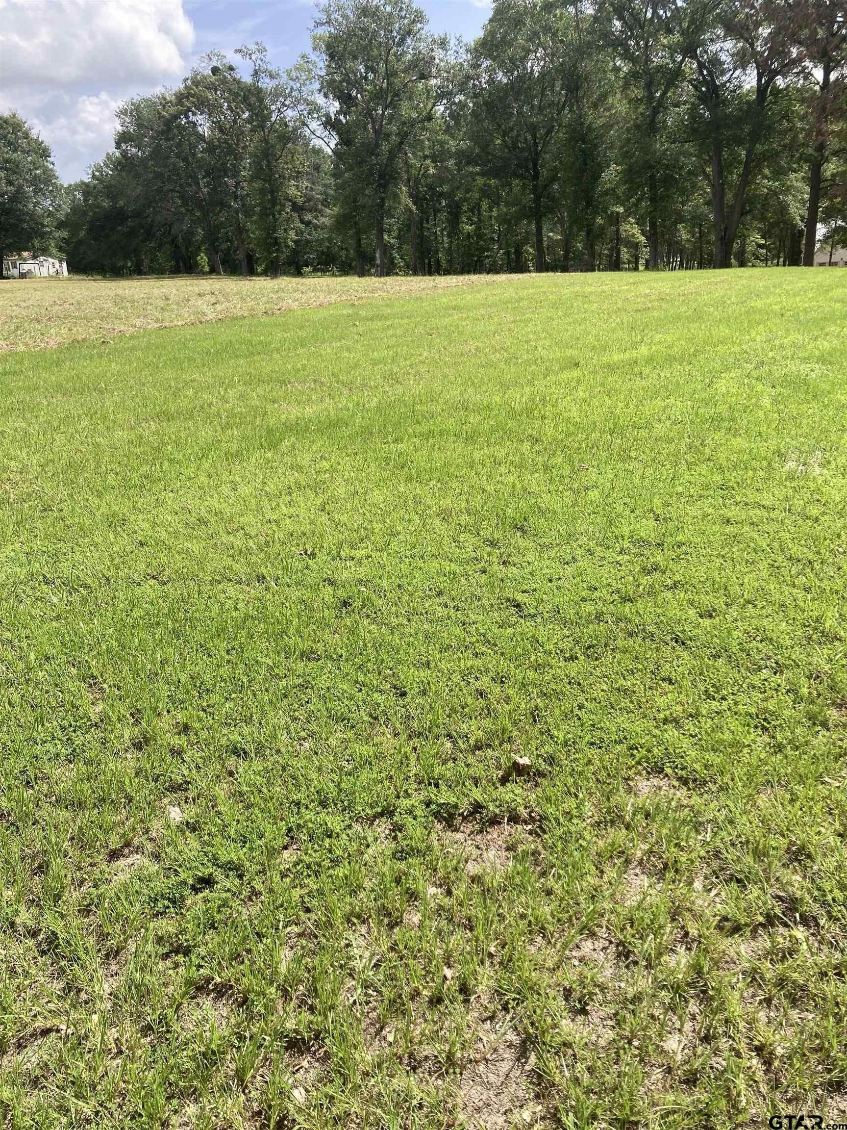 1 acres in Smith County gallery image 4