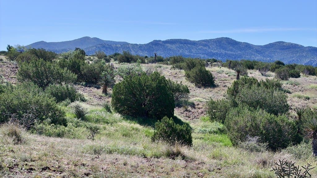 27.46 acres in Brewster County - photo 8