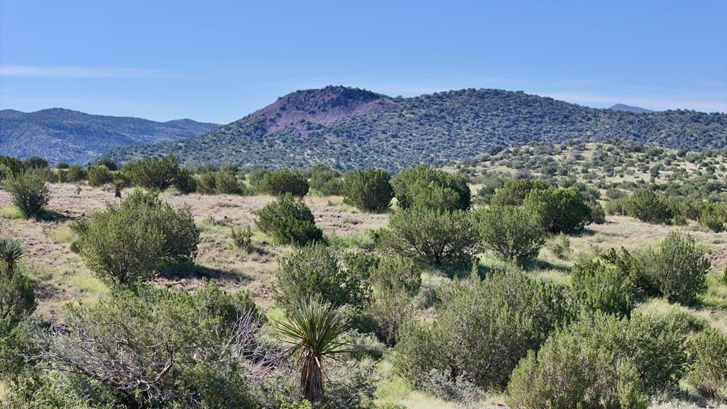27.46 acres in Brewster County - photo 6